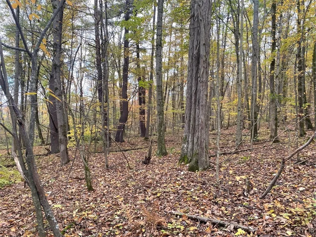 6197 Windfall Road, Angelica, New York 14813, Angelica, New York 14813, ,Residential,Closed,6197 Windfall Road, Angelica, New York 14813,0,S1573017