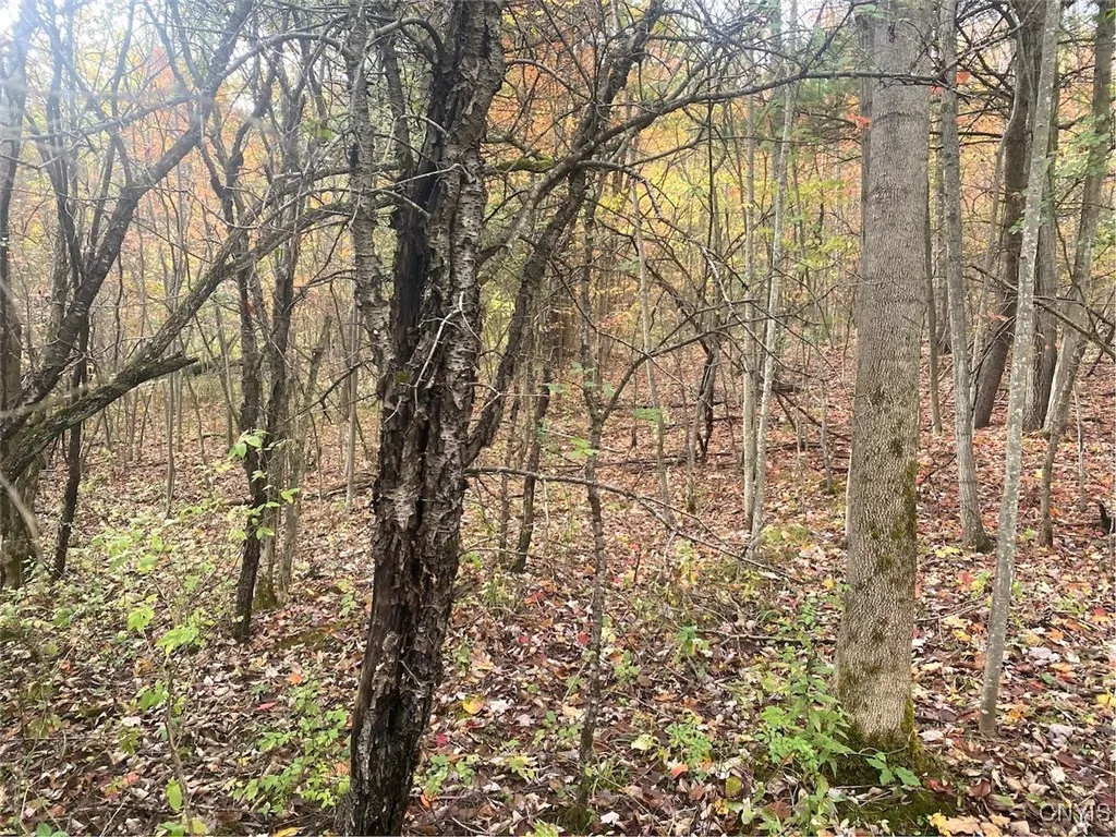 6197 Windfall Road, Angelica, New York 14813, Angelica, New York 14813, ,Residential,Closed,6197 Windfall Road, Angelica, New York 14813,0,S1573017