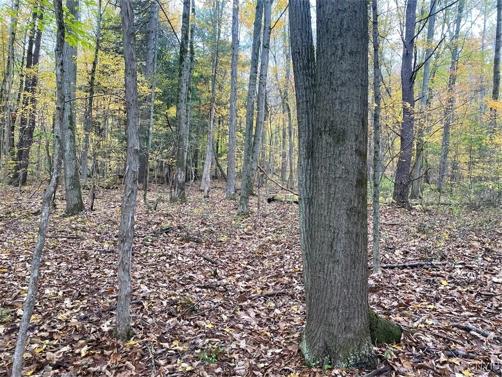 6197 Windfall Road, Angelica, New York 14813, Angelica, New York 14813, ,Residential,Closed,6197 Windfall Road, Angelica, New York 14813,0,S1573017