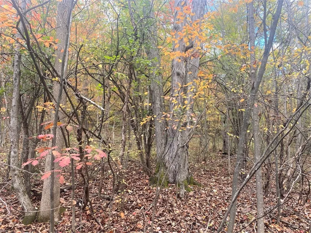 6197 Windfall Road, Angelica, New York 14813, Angelica, New York 14813, ,Residential,Closed,6197 Windfall Road, Angelica, New York 14813,0,S1573017