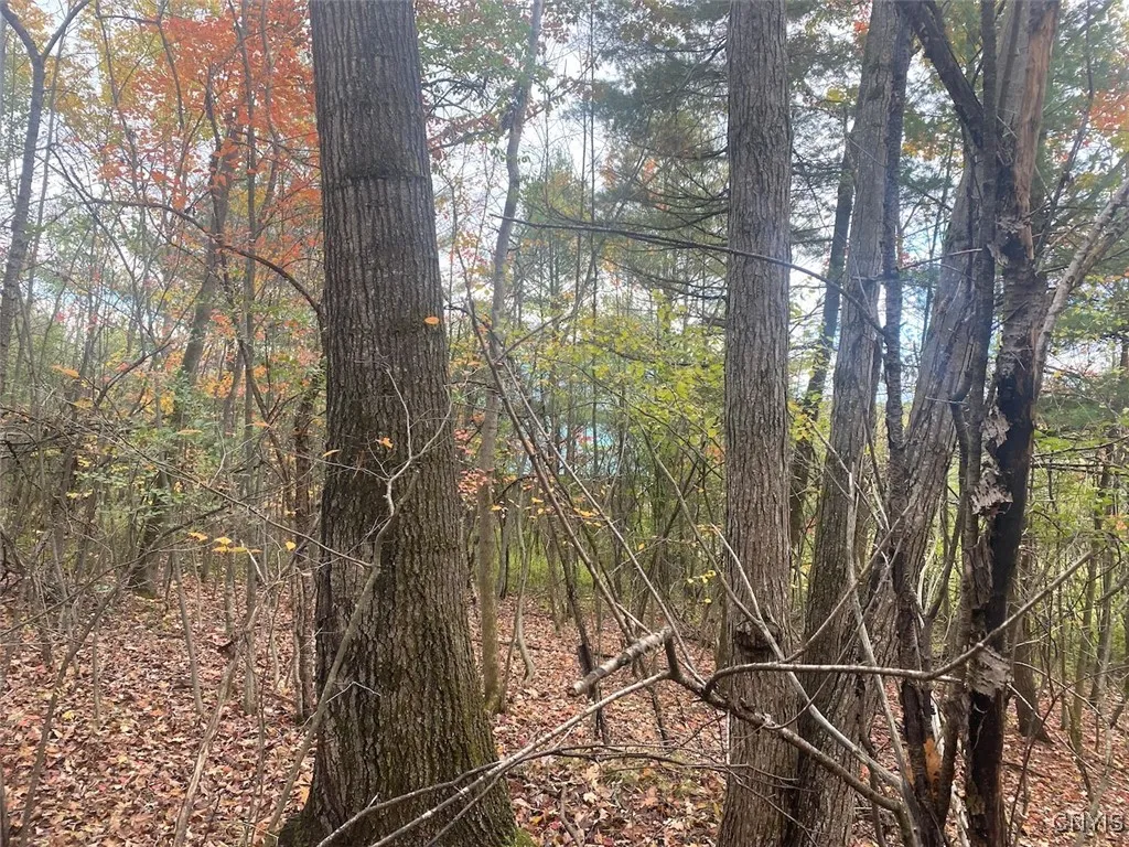 6197 Windfall Road, Angelica, New York 14813, Angelica, New York 14813, ,Residential,Closed,6197 Windfall Road, Angelica, New York 14813,0,S1573017