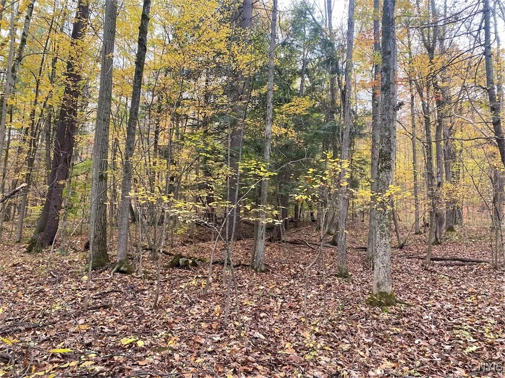 6197 Windfall Road, Angelica, New York 14813, Angelica, New York 14813, ,Residential,Closed,6197 Windfall Road, Angelica, New York 14813,0,S1573017