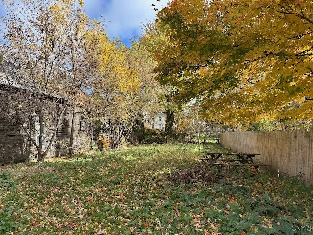 Back yard