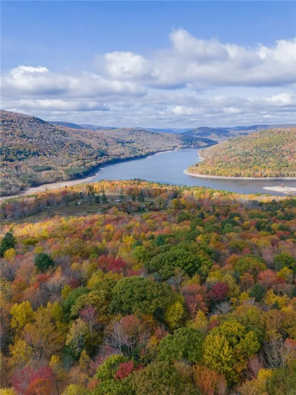 510 Gundelach, Andes, New York 13731, Andes, New York 13731, ,Land,For Sale,510 Gundelach, Andes, New York 13731,0,R1573965