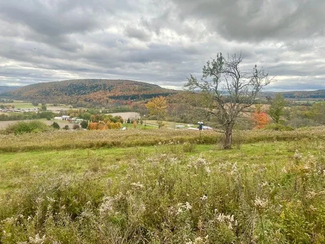 7898 State Highway 12, Sherburne, New York 13460, Sherburne, New York 13460, ,Commercial Sale,For Sale,7898 State Highway 12, Sherburne, New York 13460,0,R1574005