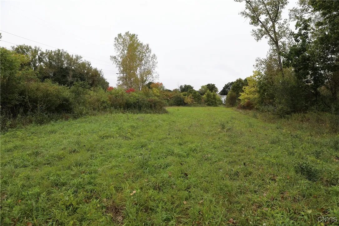 6780 & 6762 Fly Road, Dewitt, New York 13057, De Witt, New York 13057, ,Land,For Sale,6780 & 6762 Fly Road, Dewitt, New York 13057,0,S1574544