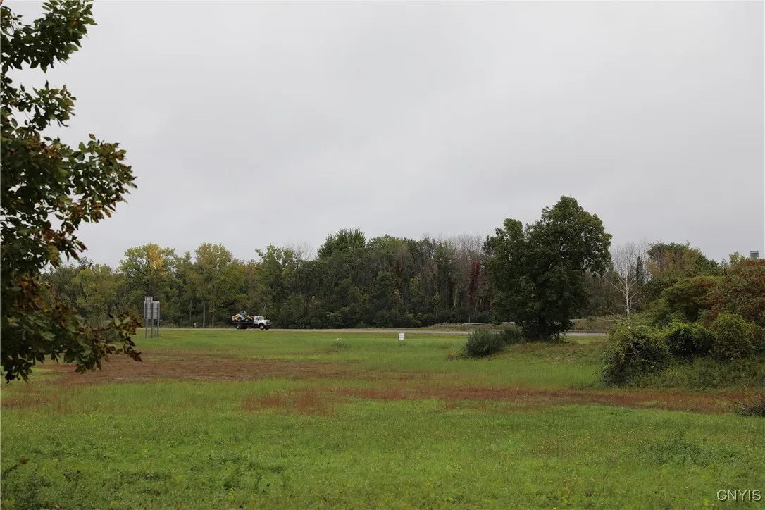6780 & 6762 Fly Road, Dewitt, New York 13057, De Witt, New York 13057, ,Land,For Sale,6780 & 6762 Fly Road, Dewitt, New York 13057,0,S1574544