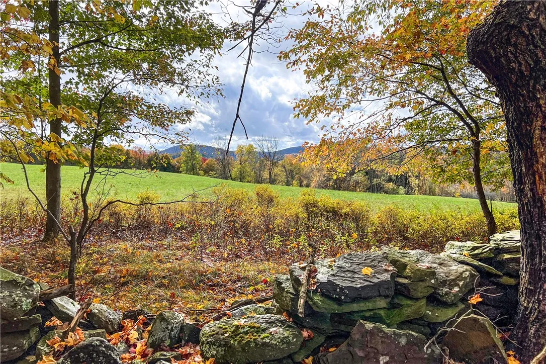 1144-1184 Hollister Hill Road, Delhi, New York 137, Delhi, New York 13753, 6 Bedrooms Bedrooms, 24 Rooms Rooms,5 BathroomsBathrooms,Residential,For Sale,1144-1184 Hollister Hill Road, Delhi, New York 137,0,R1574662