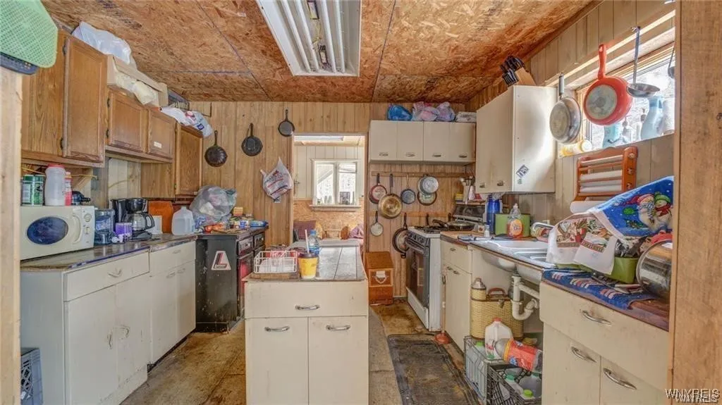 3241 Syler Road, Orangeville, New York 14167, Orangeville, New York 14167, 5 Bedrooms Bedrooms, 6 Rooms Rooms,Land,For Sale,3241 Syler Road, Orangeville, New York 14167,0,B1575440