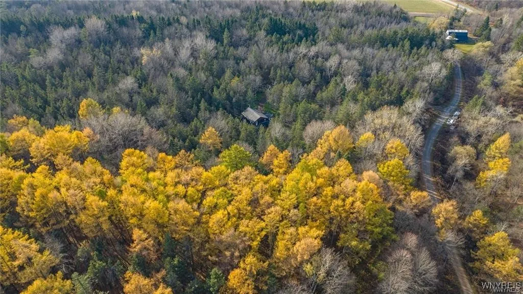 3241 Syler Road, Orangeville, New York 14167, Orangeville, New York 14167, 5 Bedrooms Bedrooms, 6 Rooms Rooms,Land,For Sale,3241 Syler Road, Orangeville, New York 14167,0,B1575440