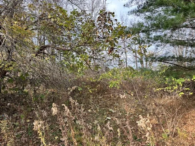8379 Green Road, West Sparta, New York 14437, West Sparta, New York 14437, ,Land,For Sale,8379 Green Road, West Sparta, New York 14437,0,R1575336