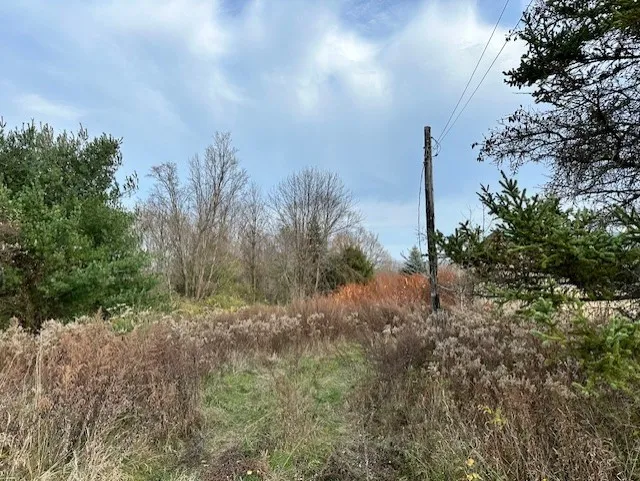 8379 Green Road, West Sparta, New York 14437, West Sparta, New York 14437, ,Land,For Sale,8379 Green Road, West Sparta, New York 14437,0,R1575336