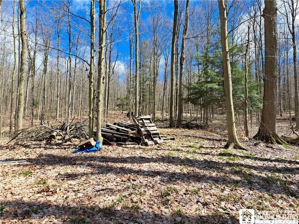 10138 Lake View Avenue, Mina, New York 14724, Mina, New York 14724, ,Land,For Sale,10138 Lake View Avenue, Mina, New York 14724,0,R1576245