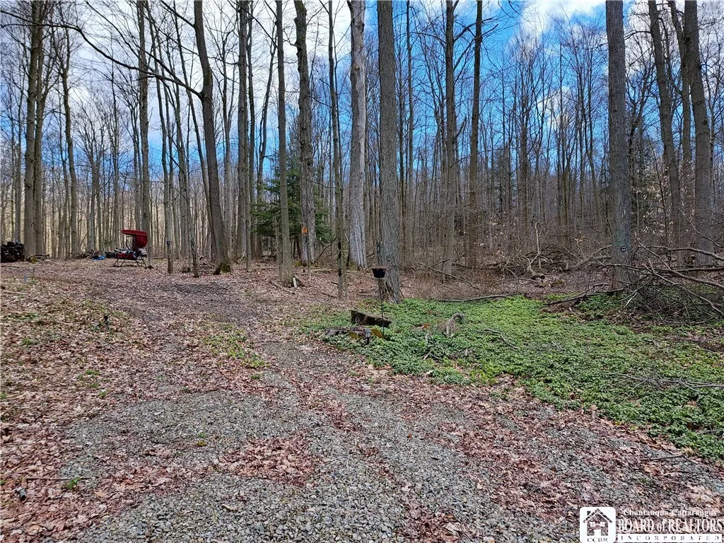 10138 Lake View Avenue, Mina, New York 14724, Mina, New York 14724, ,Land,For Sale,10138 Lake View Avenue, Mina, New York 14724,0,R1576245