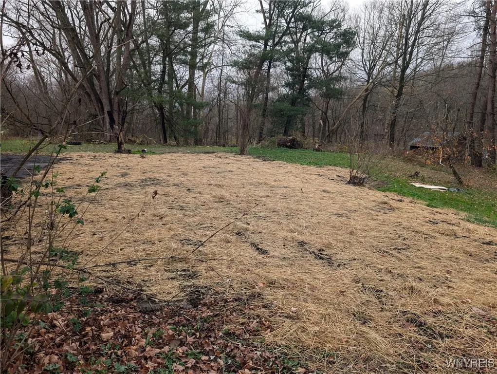 3825 Creek Road, Yorkshire, New York 14030, Yorkshire, New York 14030, ,Land,For Sale,3825 Creek Road, Yorkshire, New York 14030,0,B1575973