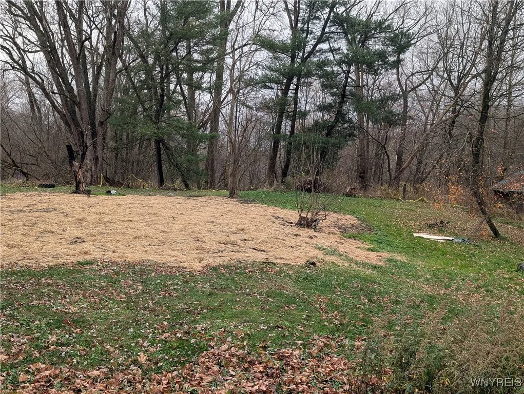 3825 Creek Road, Yorkshire, New York 14030, Yorkshire, New York 14030, ,Land,For Sale,3825 Creek Road, Yorkshire, New York 14030,0,B1575973