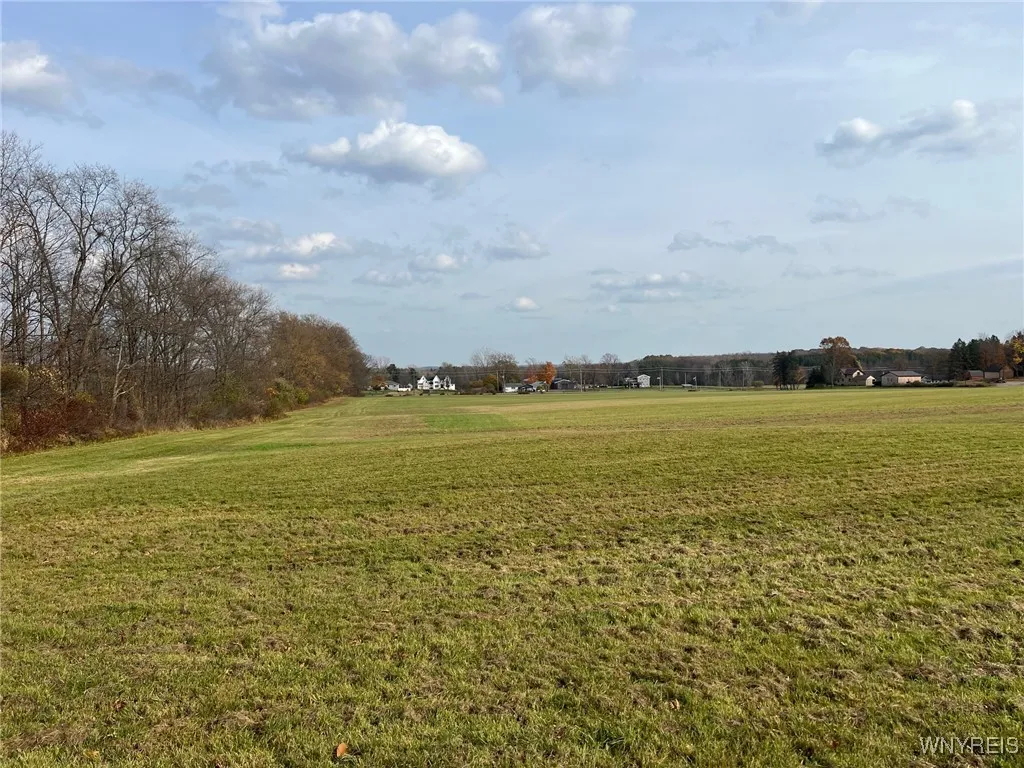 Davis Road, Aurora, New York 14052, Aurora, New York 14052, ,Land,Closed,Davis Road, Aurora, New York 14052,0,B1576507