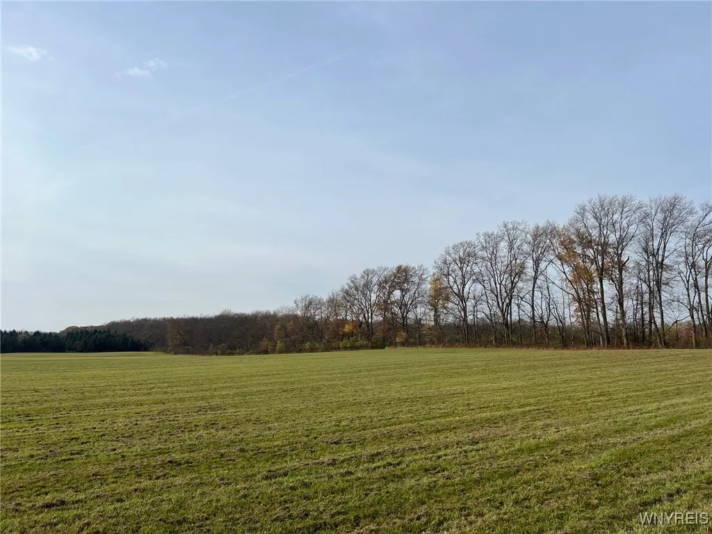 Davis Road, Aurora, New York 14052, Aurora, New York 14052, ,Land,Closed,Davis Road, Aurora, New York 14052,0,B1576507