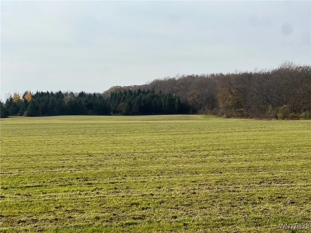 Davis Road, Aurora, New York 14052, Aurora, New York 14052, ,Land,Closed,Davis Road, Aurora, New York 14052,0,B1576507