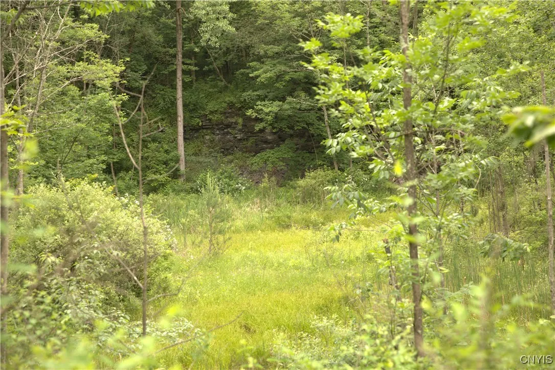 4296 Stramba Road, Freetown, New York 13040, Freetown, New York 13040, ,Land,For Sale,4296 Stramba Road, Freetown, New York 13040,0,S1577504