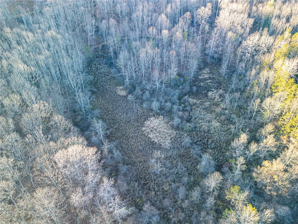 0 Ingraham Road, Amity, New York 14813, Amity, New York 14813, ,Land,For Sale,0 Ingraham Road, Amity, New York 14813,0,R1577997