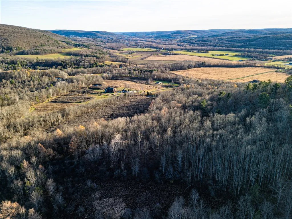 0 Ingraham Road, Amity, New York 14813, Amity, New York 14813, ,Land,For Sale,0 Ingraham Road, Amity, New York 14813,0,R1577997