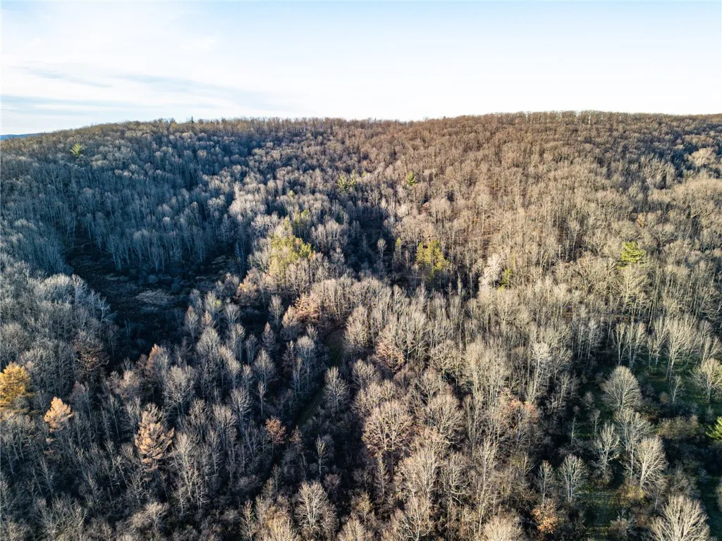 0 Ingraham Road, Amity, New York 14813, Amity, New York 14813, ,Land,For Sale,0 Ingraham Road, Amity, New York 14813,0,R1577997