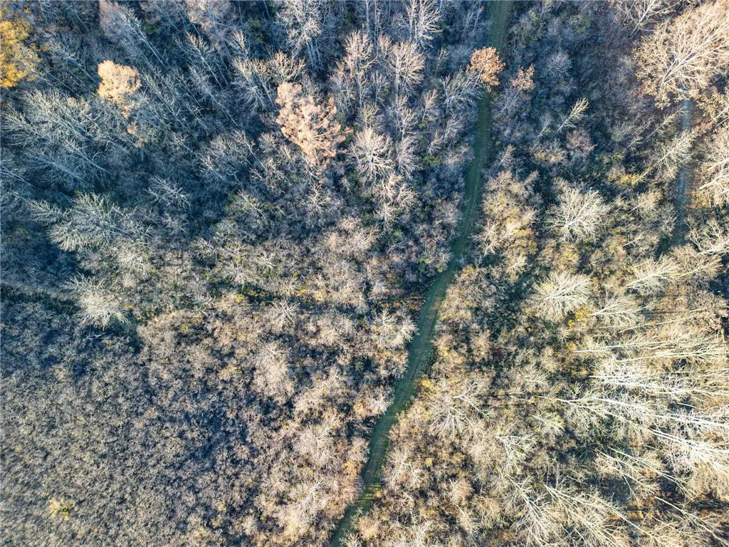0 Ingraham Road, Amity, New York 14813, Amity, New York 14813, ,Land,For Sale,0 Ingraham Road, Amity, New York 14813,0,R1577997