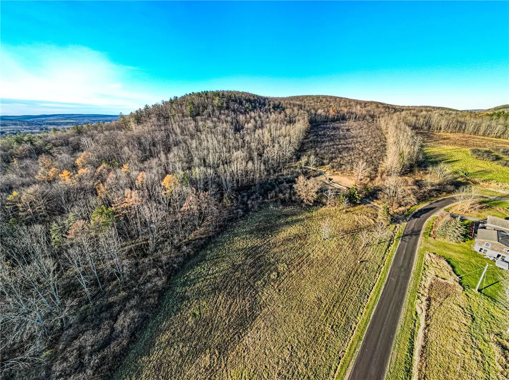 0 Ingraham Road, Amity, New York 14813, Amity, New York 14813, ,Land,For Sale,0 Ingraham Road, Amity, New York 14813,0,R1577997