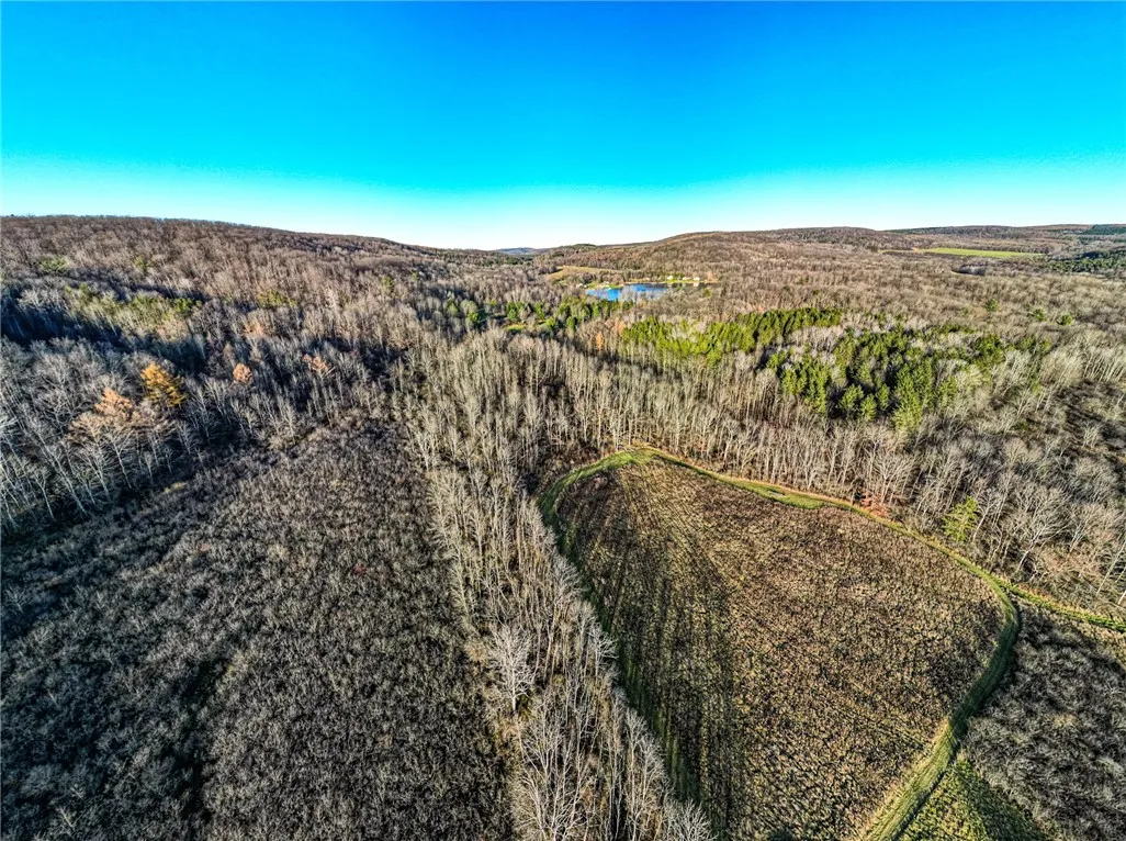 0 Ingraham Road, Amity, New York 14813, Amity, New York 14813, ,Land,For Sale,0 Ingraham Road, Amity, New York 14813,0,R1577997