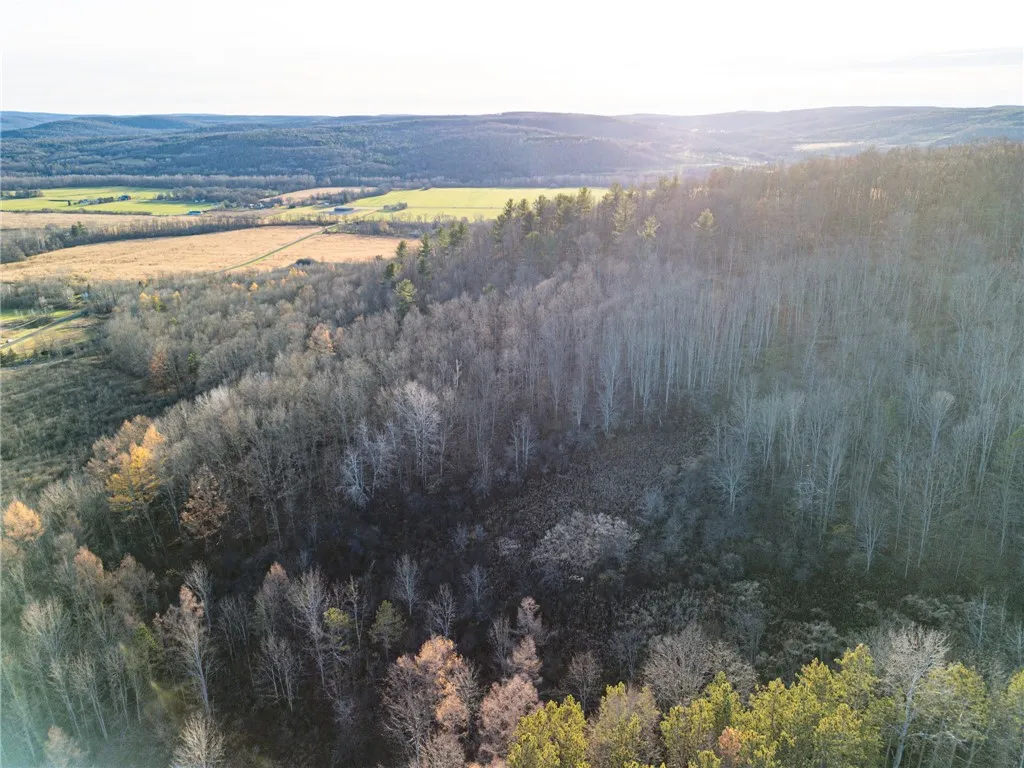 0 Ingraham Road, Amity, New York 14813, Amity, New York 14813, ,Land,For Sale,0 Ingraham Road, Amity, New York 14813,0,R1577997