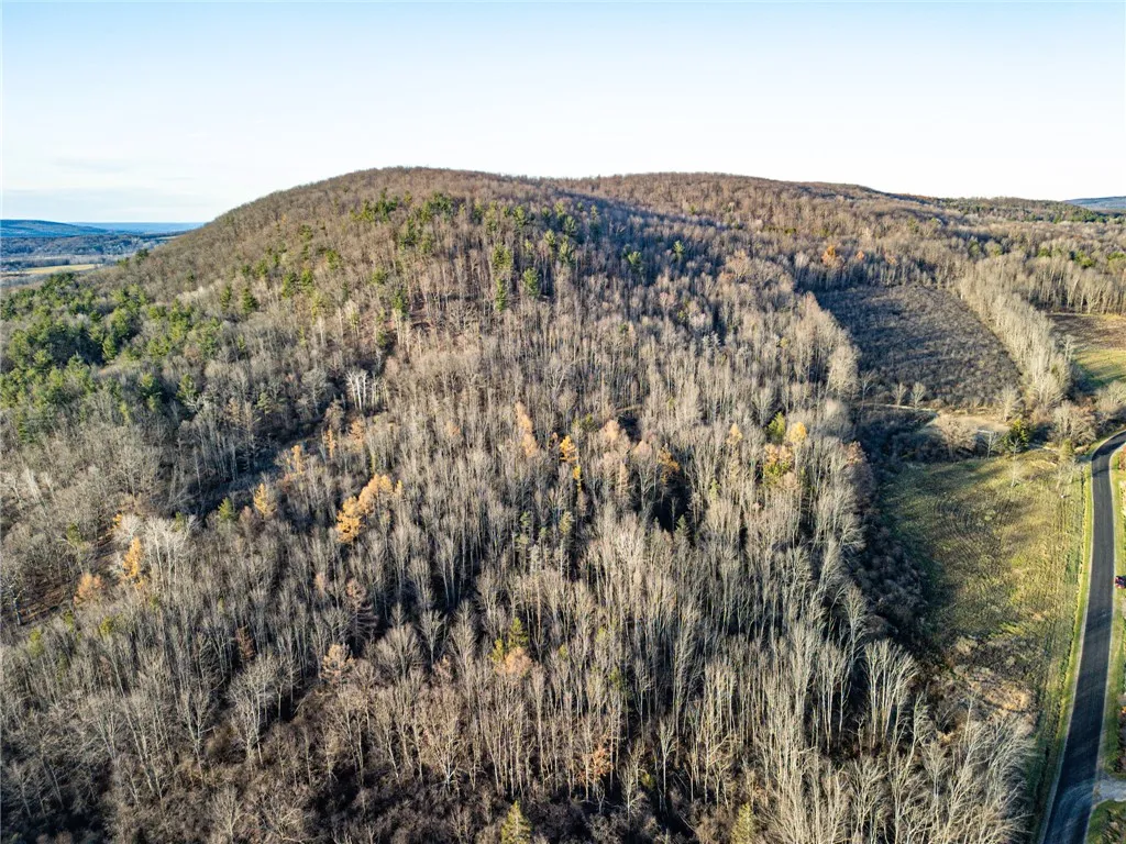 0 Ingraham Road, Amity, New York 14813, Amity, New York 14813, ,Land,For Sale,0 Ingraham Road, Amity, New York 14813,0,R1577997