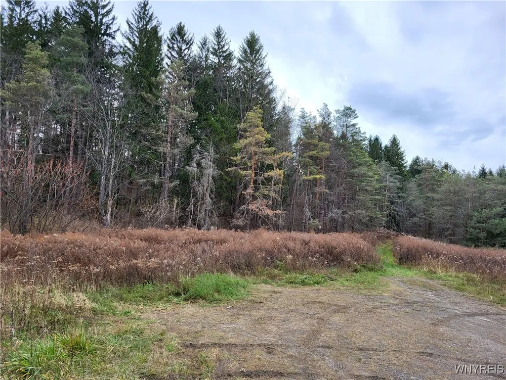 Us Route 219, Ellicottville, New York 14731, Ellicottville, New York 14731, ,Land,For Sale,Us Route 219, Ellicottville, New York 14731,B1578073