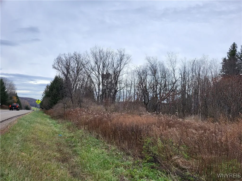 Us Route 219, Ellicottville, New York 14731, Ellicottville, New York 14731, ,Land,For Sale,Us Route 219, Ellicottville, New York 14731,B1578073