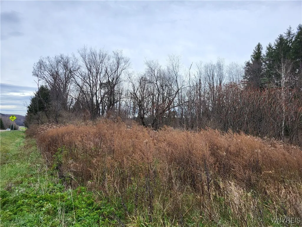 Us Route 219, Ellicottville, New York 14731, Ellicottville, New York 14731, ,Land,For Sale,Us Route 219, Ellicottville, New York 14731,B1578073