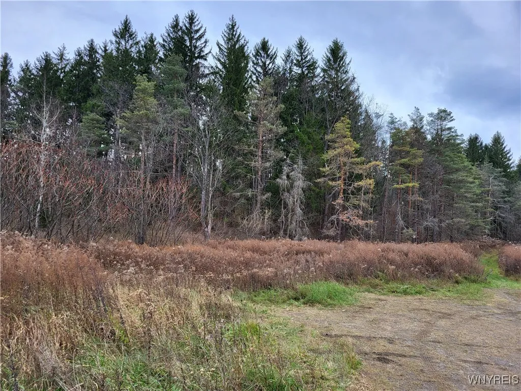Us Route 219, Ellicottville, New York 14731, Ellicottville, New York 14731, ,Land,For Sale,Us Route 219, Ellicottville, New York 14731,B1578073