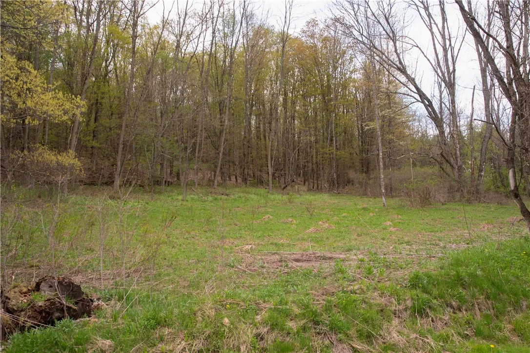 Lang Road, Spencer, New York 14883, Spencer, New York 14883, ,Land,Closed,Lang Road, Spencer, New York 14883,0,R1578657