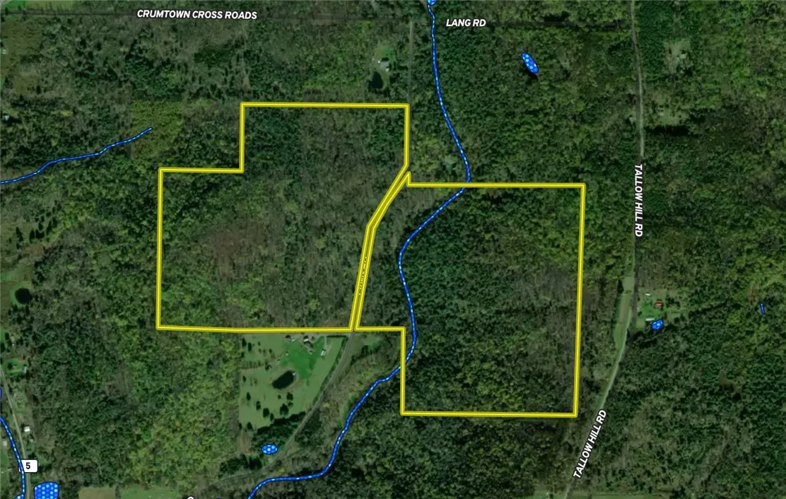 Lang Road, Spencer, New York 14883, Spencer, New York 14883, ,Land,Closed,Lang Road, Spencer, New York 14883,0,R1578657