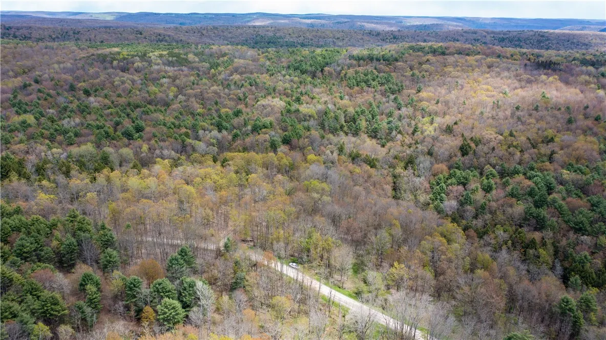 Lang Road, Spencer, New York 14883, Spencer, New York 14883, ,Land,Closed,Lang Road, Spencer, New York 14883,0,R1578657