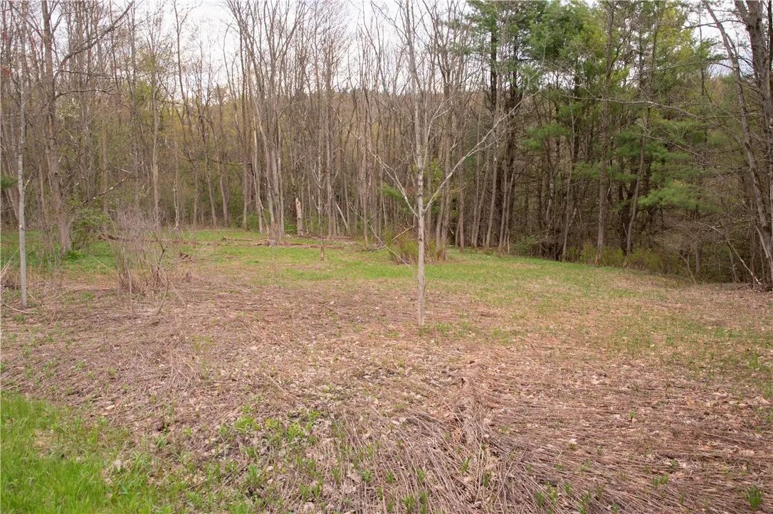 Lang Road, Spencer, New York 14883, Spencer, New York 14883, ,Land,Closed,Lang Road, Spencer, New York 14883,0,R1578657