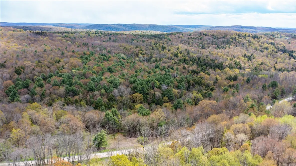 Lang Road, Spencer, New York 14883, Spencer, New York 14883, ,Land,Closed,Lang Road, Spencer, New York 14883,0,R1578657