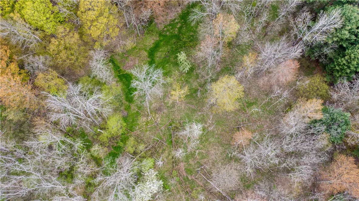 Lang Road, Spencer, New York 14883, Spencer, New York 14883, ,Land,Closed,Lang Road, Spencer, New York 14883,0,R1578657