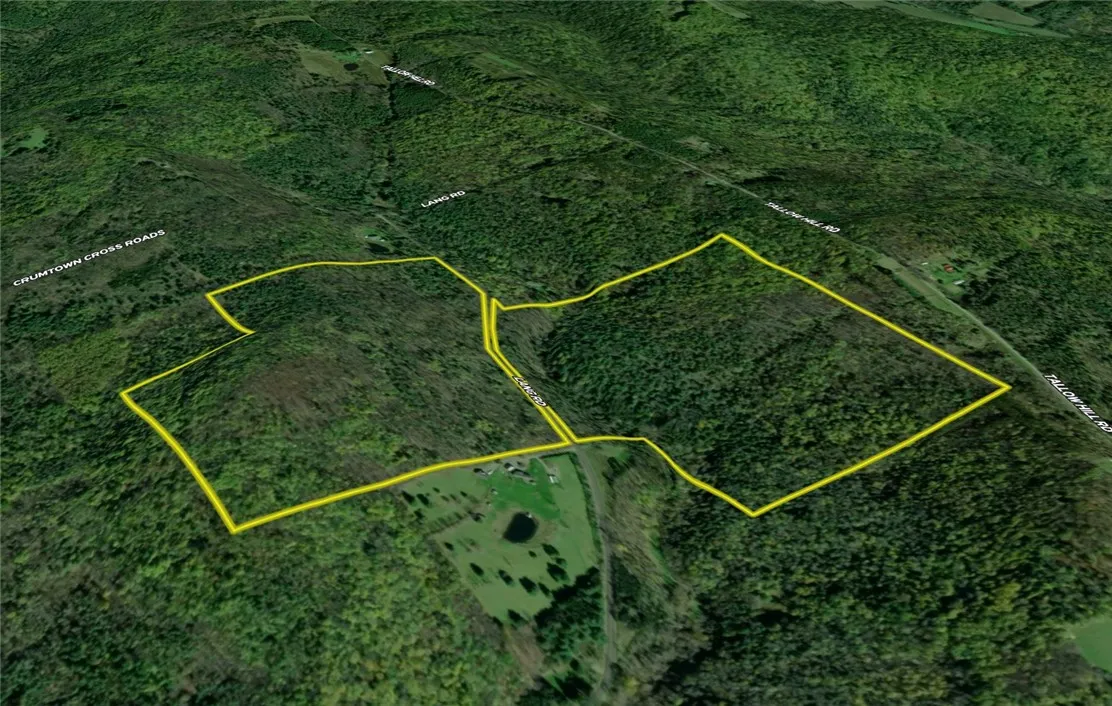 Lang Road, Spencer, New York 14883, Spencer, New York 14883, ,Land,Closed,Lang Road, Spencer, New York 14883,0,R1578657