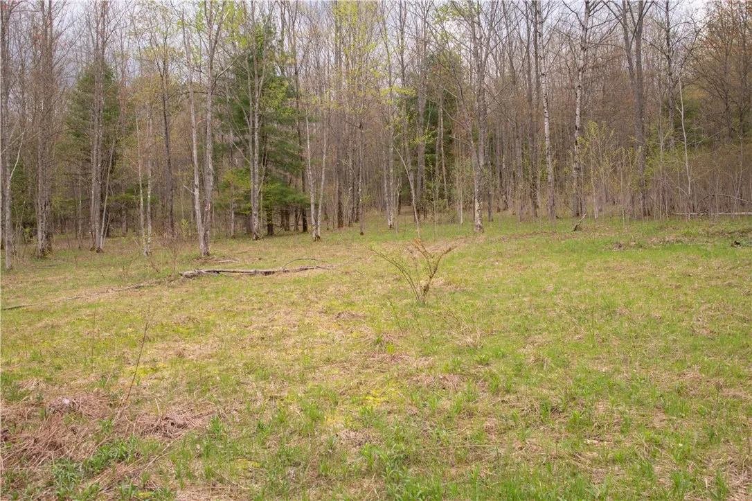 Lang Road, Spencer, New York 14883, Spencer, New York 14883, ,Land,Closed,Lang Road, Spencer, New York 14883,0,R1578657