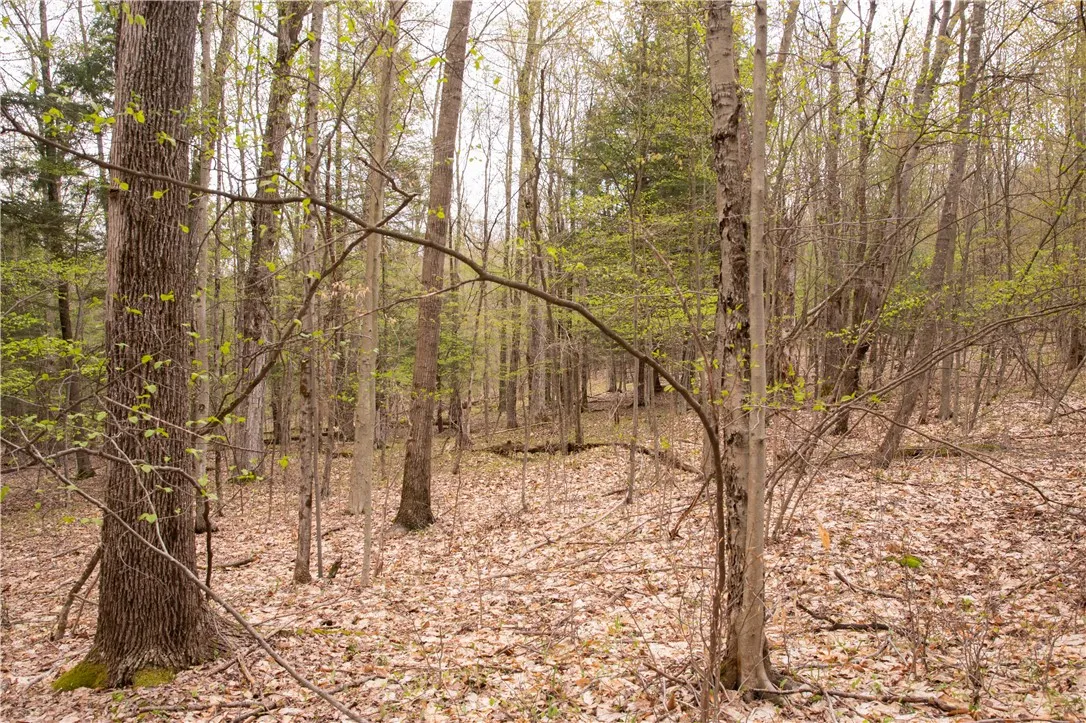 Lang Road, Spencer, New York 14883, Spencer, New York 14883, ,Land,Closed,Lang Road, Spencer, New York 14883,0,R1578657