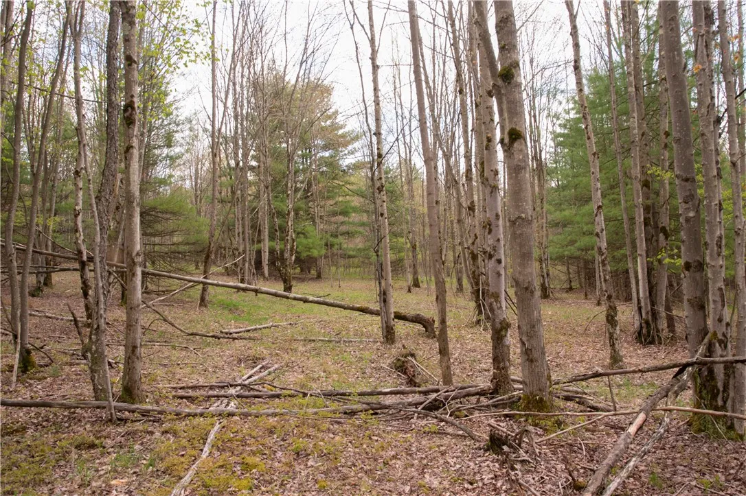 Lang Road, Spencer, New York 14883, Spencer, New York 14883, ,Land,Closed,Lang Road, Spencer, New York 14883,0,R1578657