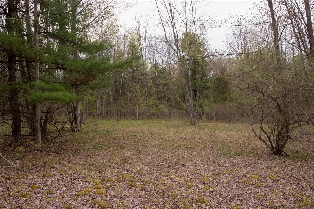Lang Road, Spencer, New York 14883, Spencer, New York 14883, ,Land,Closed,Lang Road, Spencer, New York 14883,0,R1578657