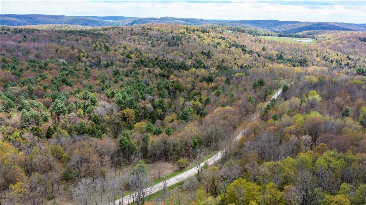 Lang Road, Spencer, New York 14883, Spencer, New York 14883, ,Land,Closed,Lang Road, Spencer, New York 14883,0,R1578657