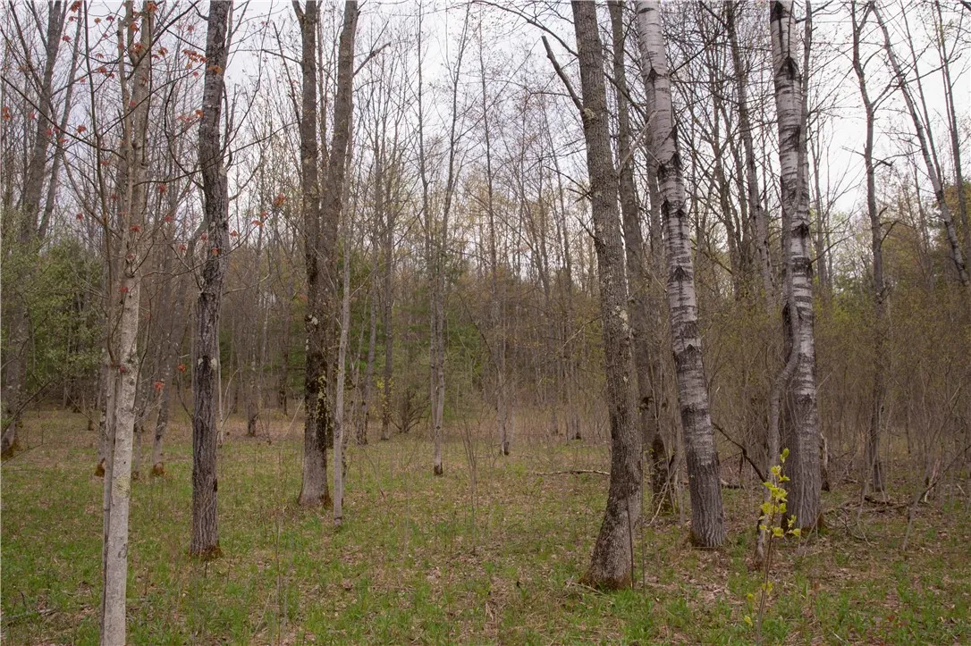Lang Road, Spencer, New York 14883, Spencer, New York 14883, ,Land,Closed,Lang Road, Spencer, New York 14883,0,R1578657