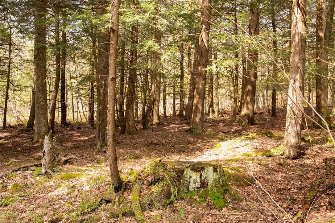 Lang Road, Spencer, New York 14883, Spencer, New York 14883, ,Land,Closed,Lang Road, Spencer, New York 14883,0,R1578657